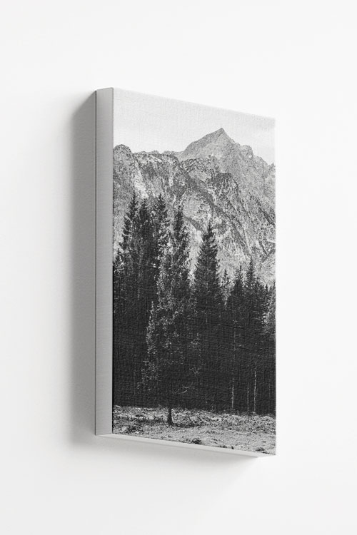 Pine tree and mountain no1 canvas
