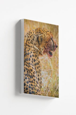 Bloody cheetah canvas