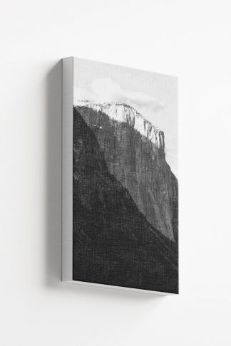 Rocky mountain and pine trees no1 canvas