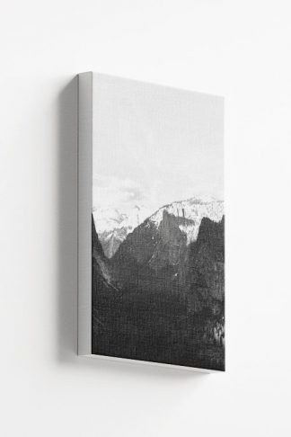 Rocky mountain and pine trees no2 canvas