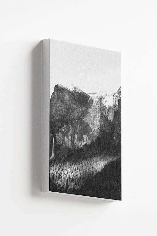 Rocky mountain and pine trees no2 canvas