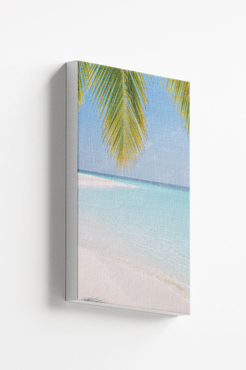 Palm leaves on beach canvas