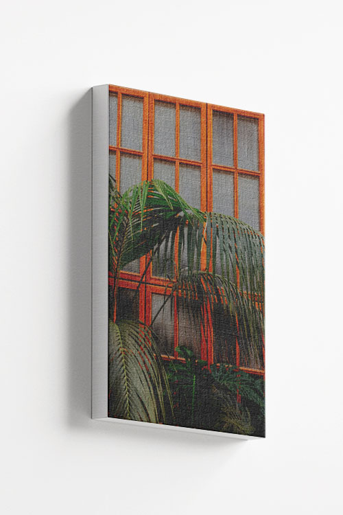 Plants on window canvas