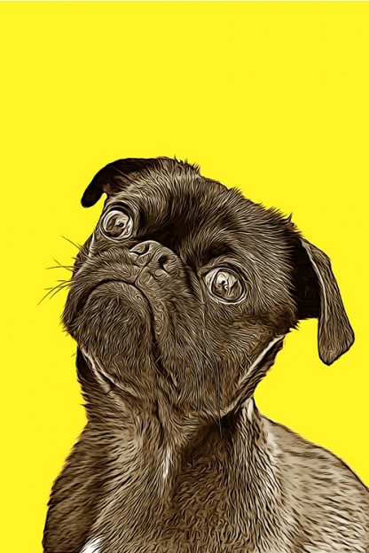 Pet Colors Poster Print