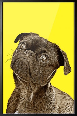 Pet Colors Poster Print in black Frame