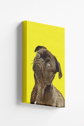 Pet Colors Canvas Print