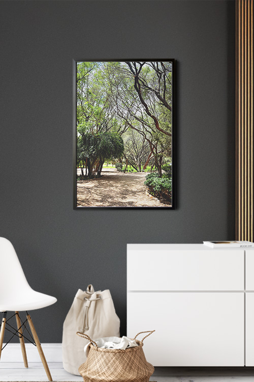 A framed poster print showing a photo of a gravel pathway that is surrounded by old trees hanged on a black-colored living room wall